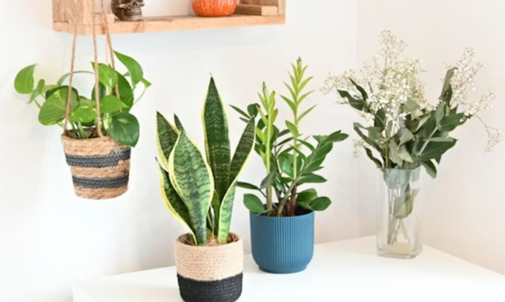Best Plant Puns for Instagram Captions & Social Media