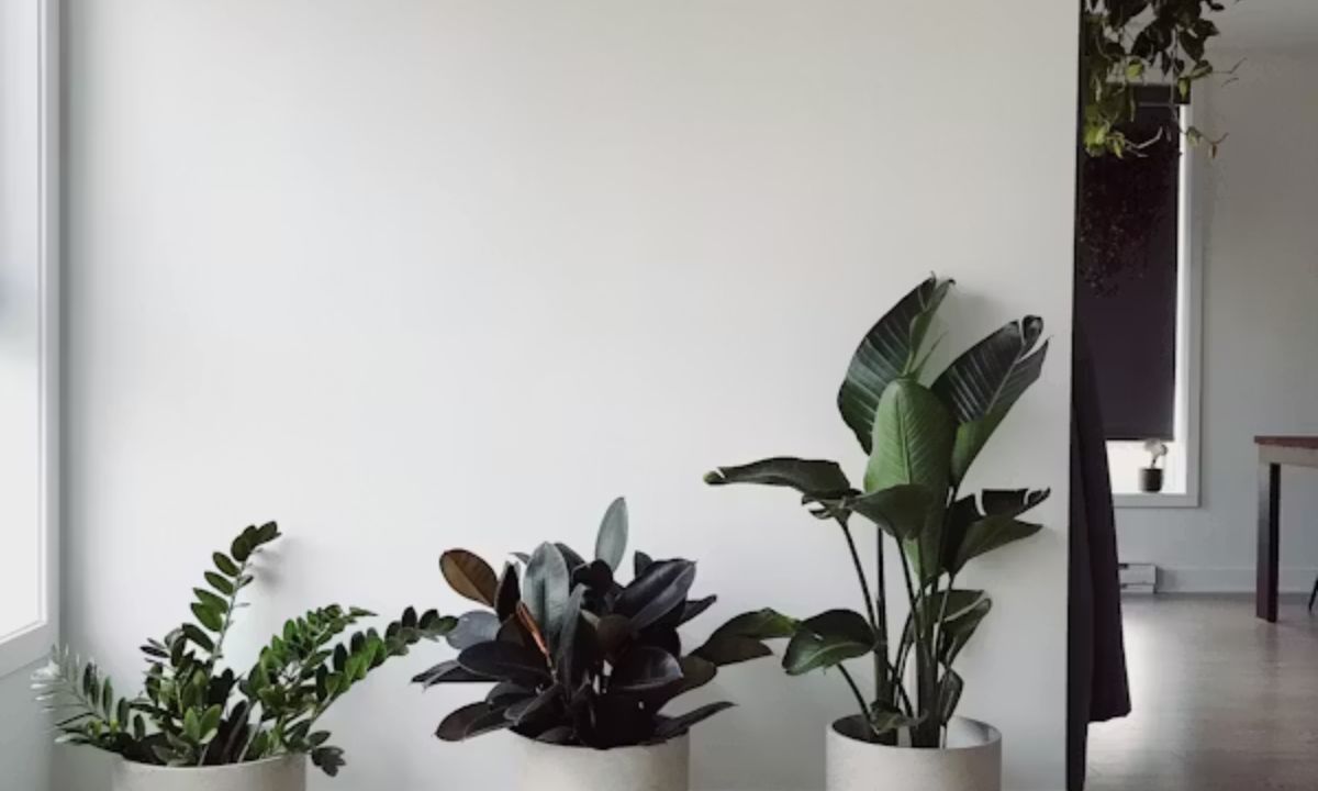 350+ Plant Puns So Good They'll Leaf You Speechless (2026) 