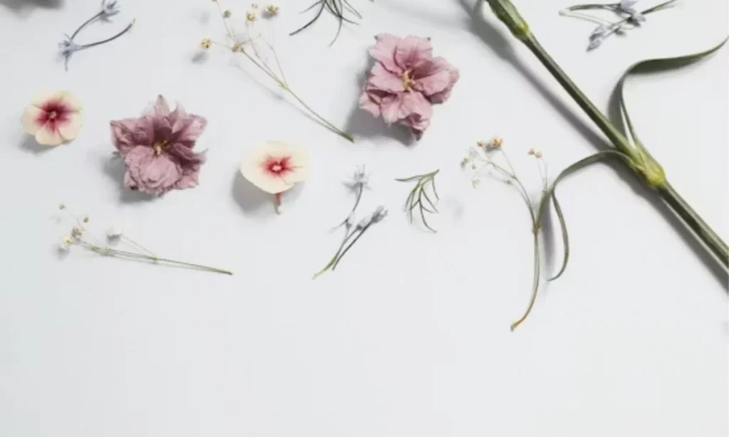 Cute Flower Puns for Instagram Captions & Selfies 📸