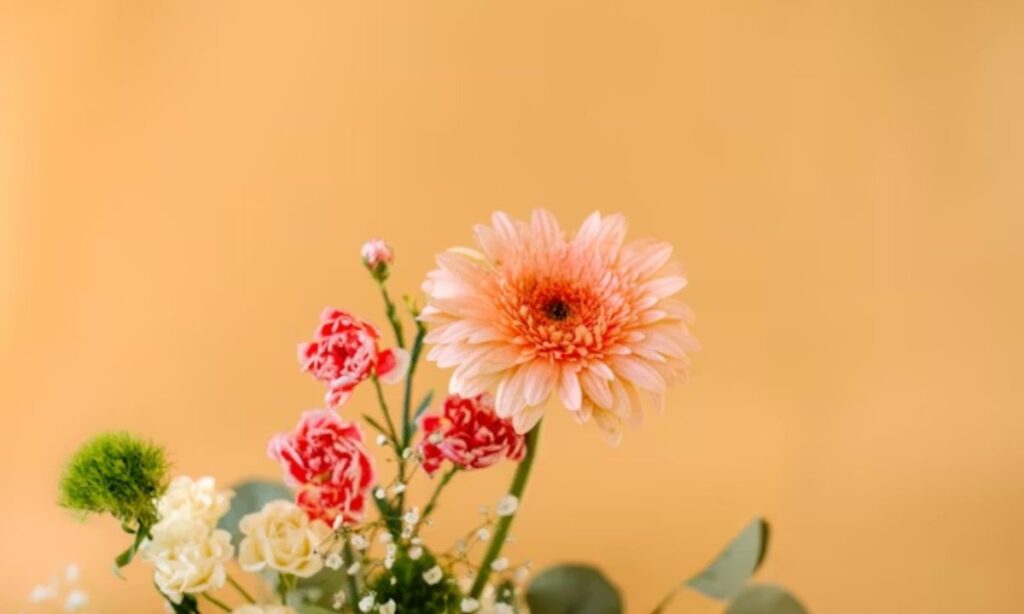 Funny Floral Jokes and Flower Wordplay for Friends