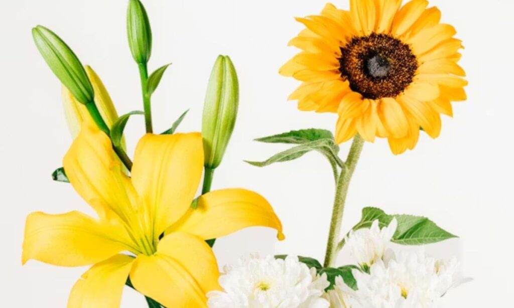 Clever Petal Puns That Are Rose-tically Funny