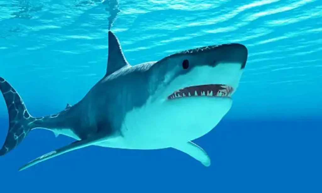 Short Shark Puns One-Liners That Bite Hard