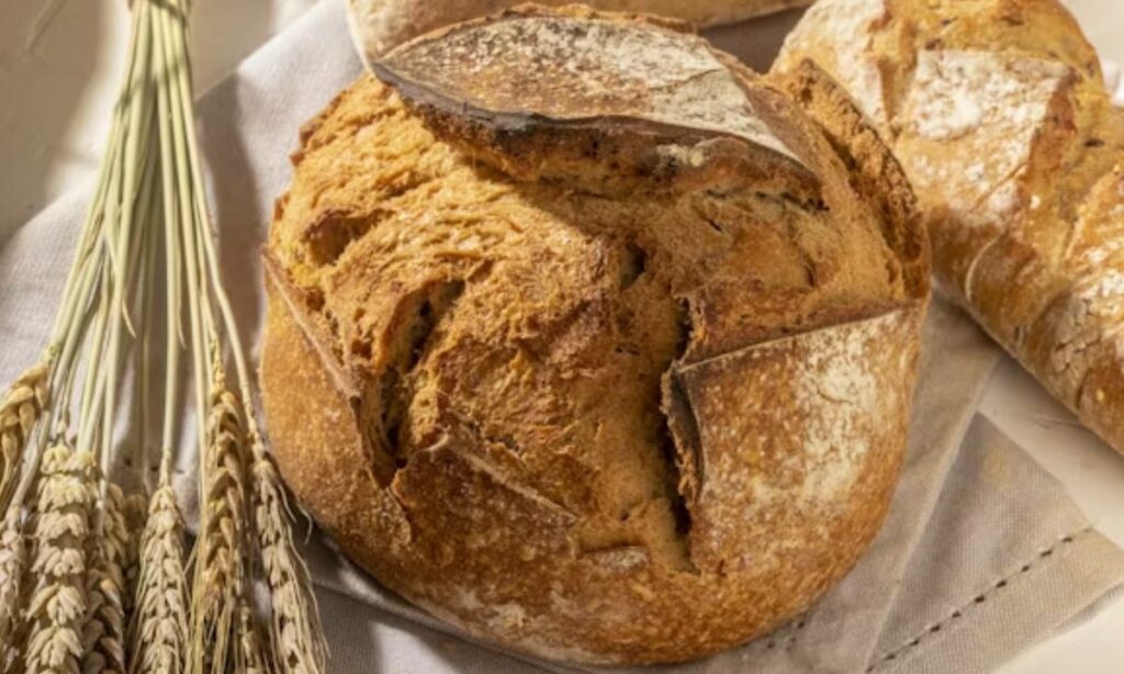Cute Bread Puns for Kids, Friends & Pun Lovers