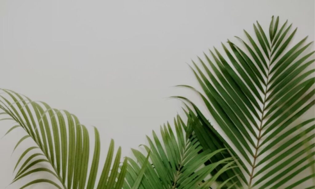 Short Plant Puns One-Liners for Quick Laughs